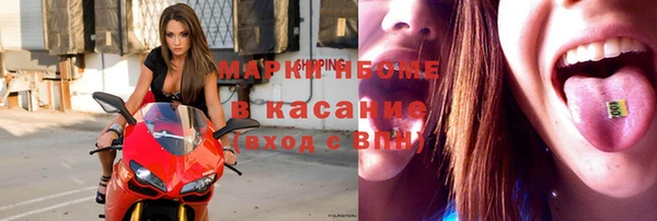 сатива Аркадак