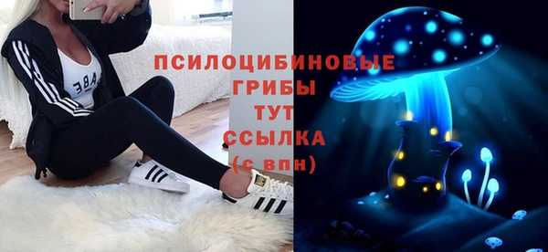 apvp Ростов