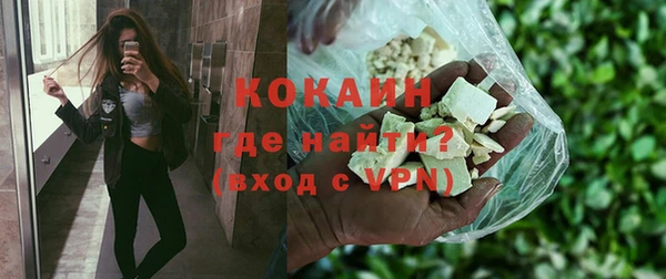 сатива Аркадак