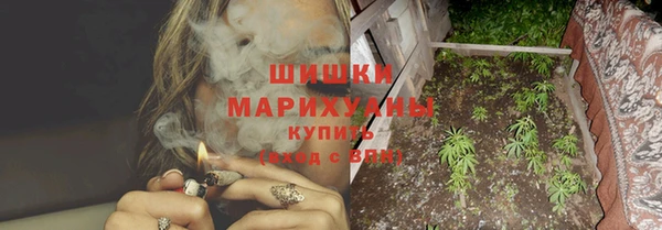 сатива Аркадак