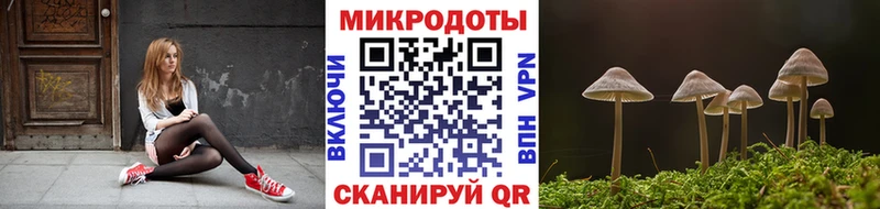 МЕГА зеркало Тында Галлюциногенные грибы мухоморы цена наркотик
